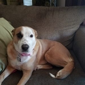 Meet your Posher, Ronald